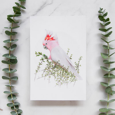 Pink Cockatoo - Greeting Card