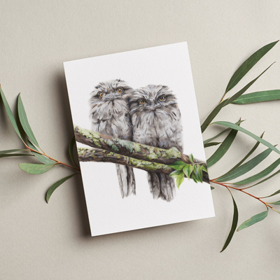 Tawny Frogmouths - Greeting Card