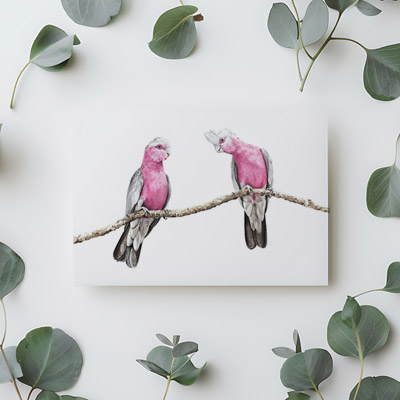 Galahs- Greeting Card