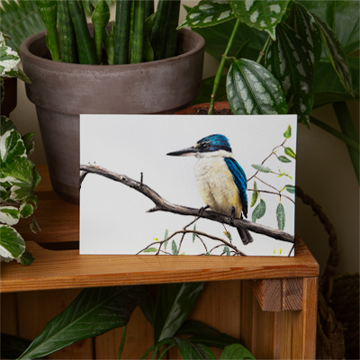 Sacred Kingfisher - Greeting Card
