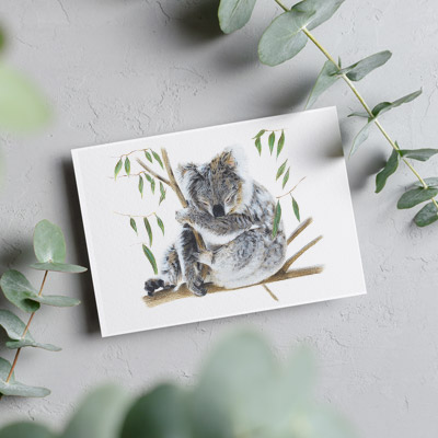 Koala - Greeting Card