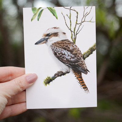 Laughing Kookaburra - Greeting Card