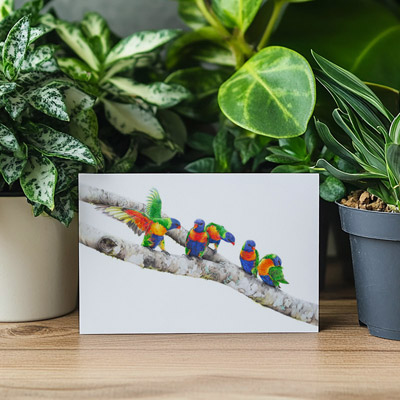 Rainbow Lorikeets - Greeting Card
