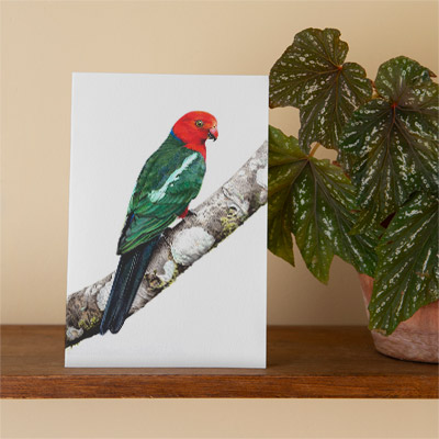 King Parrot - Greeting Card