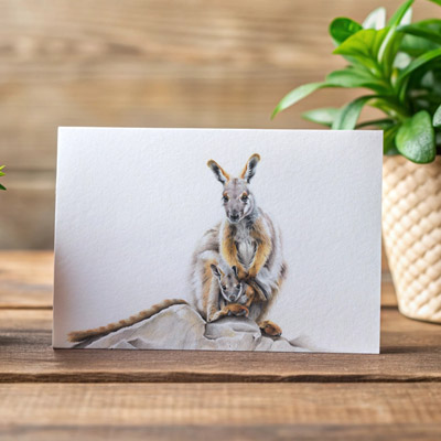 Yellow-footed Rock Wallaby - Greeting Card