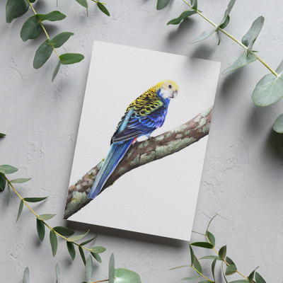 Pale-headed Rosella - Greeting Card