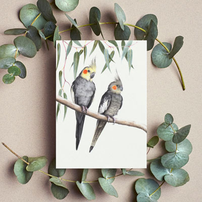 Cockatiels - Greeting Card