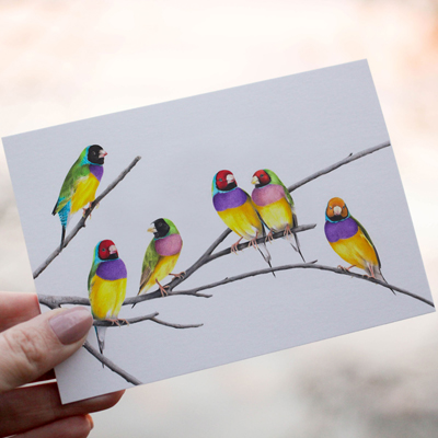 Gouldian Finches - Greeting Card