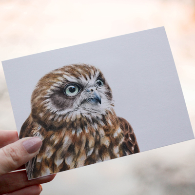 Southern Boobook Owl - Greeting Card
