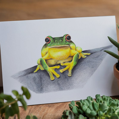 Red-eyed Tree Frog - Greeting Card
