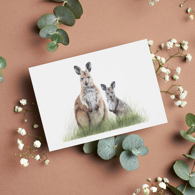 Common Wallaroo & Joey - Greeting Card