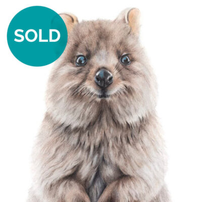 Quokka - Original Artwork 11.75" x 8.75"