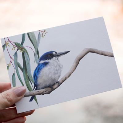 Forest Kingfisher - Greeting Card