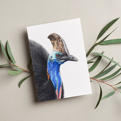 Cassowary - Greeting Card