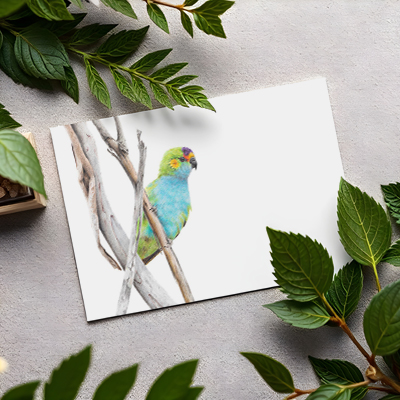Purple-crowned Lorikeet - Greeting Card