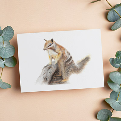Numbat - Greeting Card