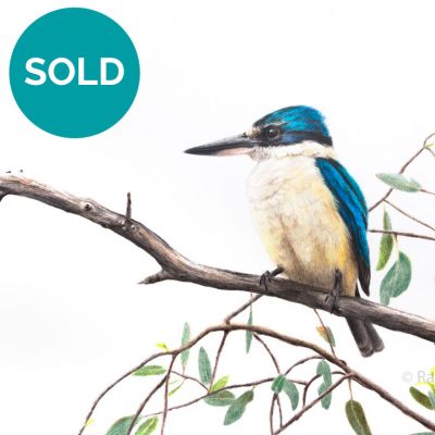 Sacred Kingfisher, Original Artwork 9 x 12"