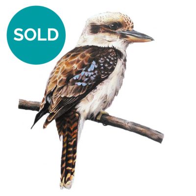 Laughing Kookaburra, Original Artwork 8 x 12"