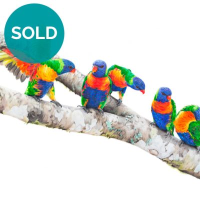 Rainbow Lorikeets - Original Artwork 16" x 24"