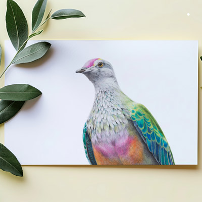 Rose-crowned Fruit Dove - Greeting Card