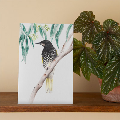 Regent Honeyeater - Greeting Card