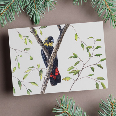 Glossy Black Cockatoo - Greeting Card
