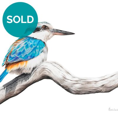 Red-backed Kingfisher Artwork