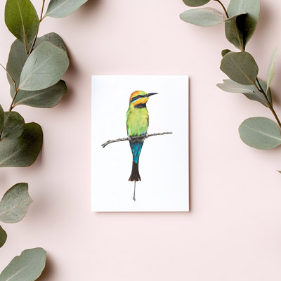 Rainbow Bee-eater - Greeting Card
