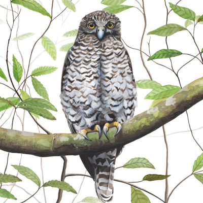 Powerful Owl Painting