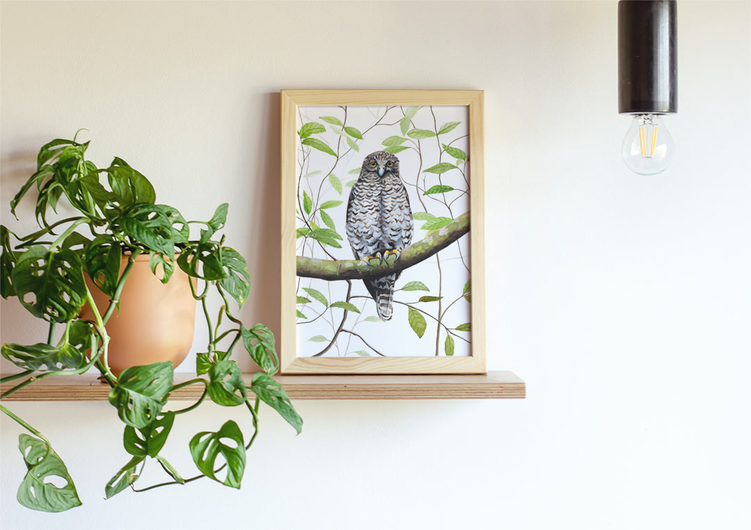 Australian Bird Print Powerful Owl Print