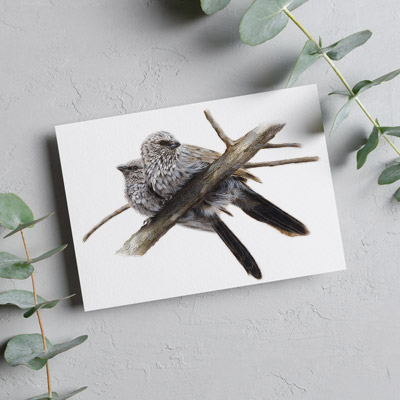 Apostlebirds - Greeting Card