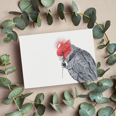 Gang-gang Cockatoo - Greeting Card