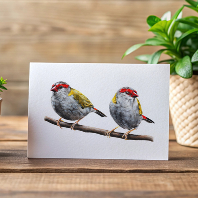 Red-browed Finches - Greeting Card