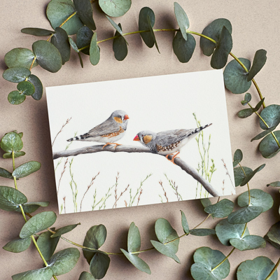 Zebra Finch - Greeting Card