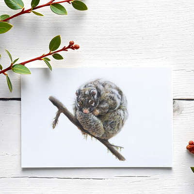 Green Ringtail Possum - Greeting Card