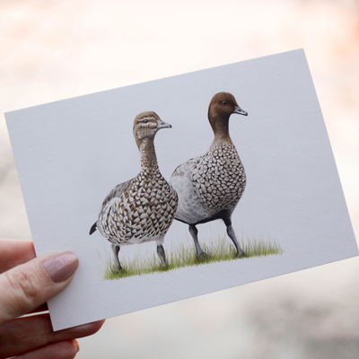 Wood Ducks - Greeting Card