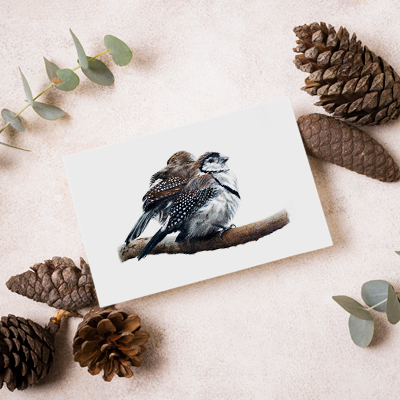 Double-barred Finches - Greeting Card