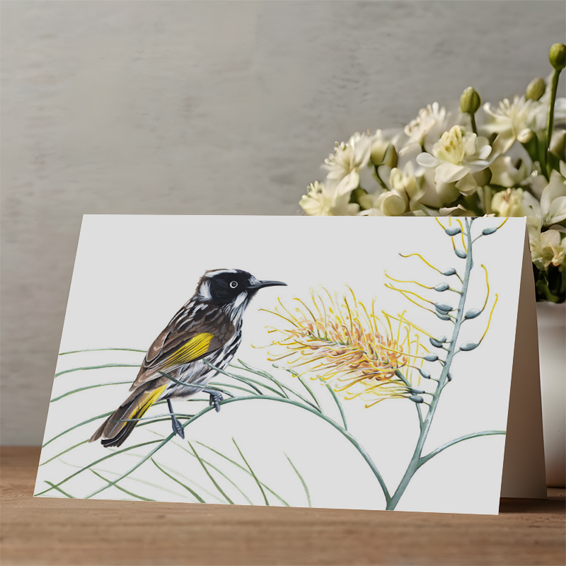 Australian Bird Greeting Card New Holland Honeyeater greeting card