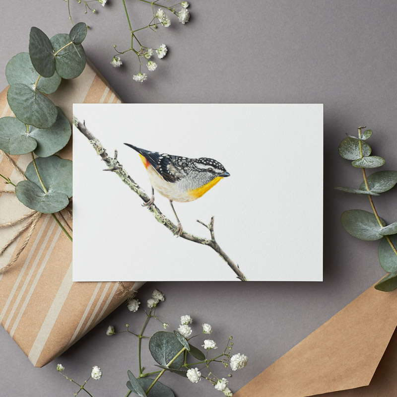 Australian Bird Greeting Card Spotted Pardalote Greeting Card