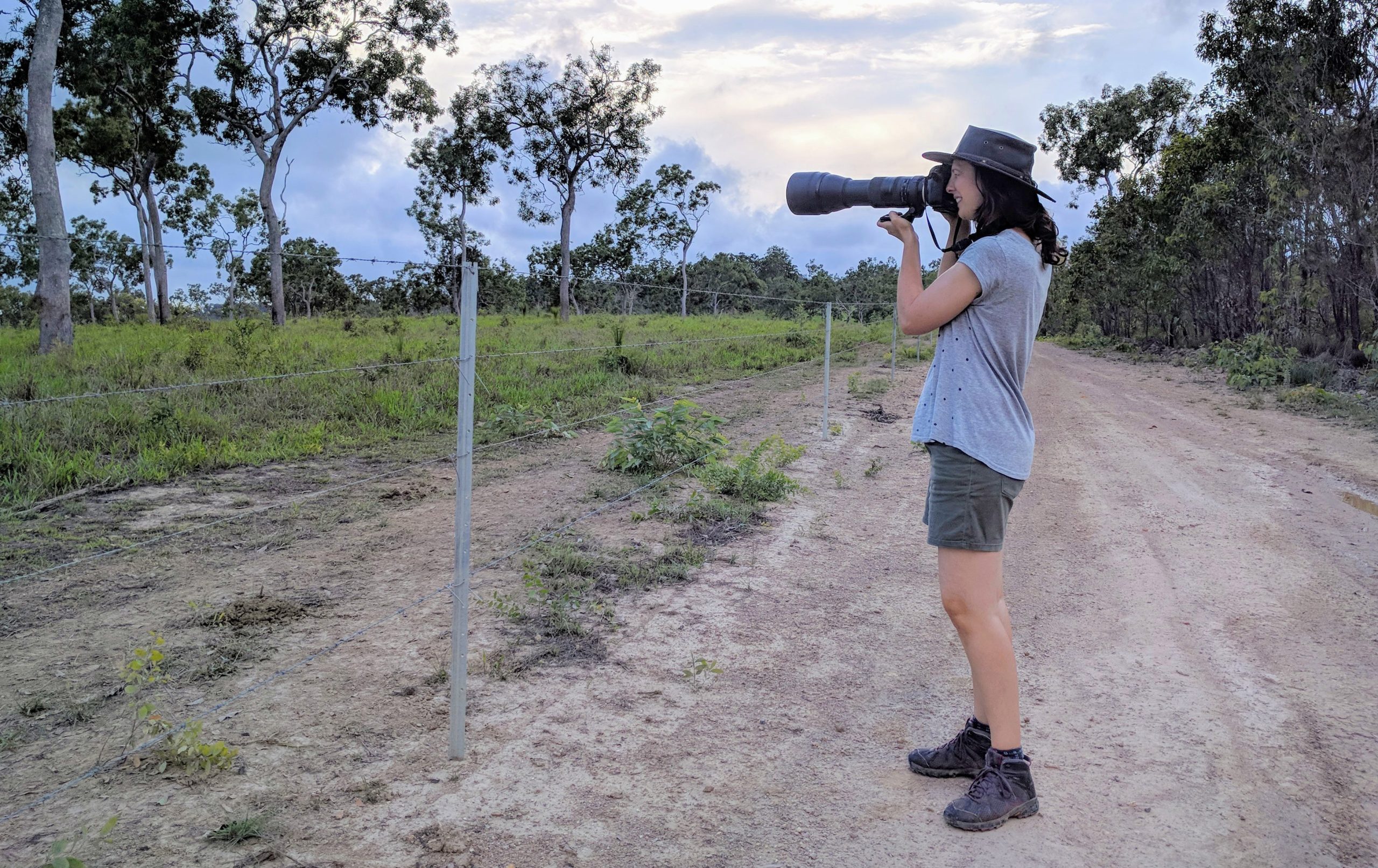 Rachel Hollis - Australian Wildlife Artist