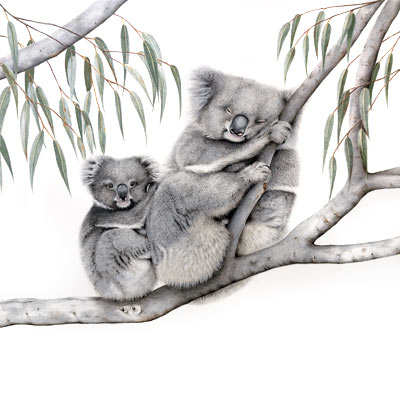 Sleeping Koala & Joey - Original Artwork